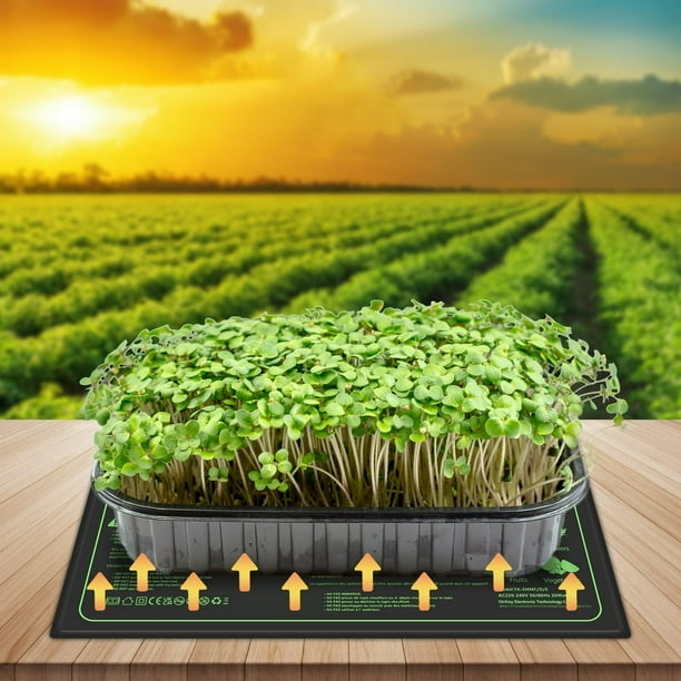 AMERTEER Seedling Heat Mat Waterproof Plant Heating Pad with 6