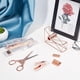 thumbnail image 2 of Kit de material de oficina con 5 accesorios de escritorio: dispensador de cinta adhesiva, quitagrapas y juego de grapadora con grapas estándar de latón 24/6., 2 of 7