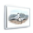 thumbnail image 3 of Designart 'Ancient Birds In The Wild IX' Traditional Framed Canvas Wall Art Print, 3 of 5