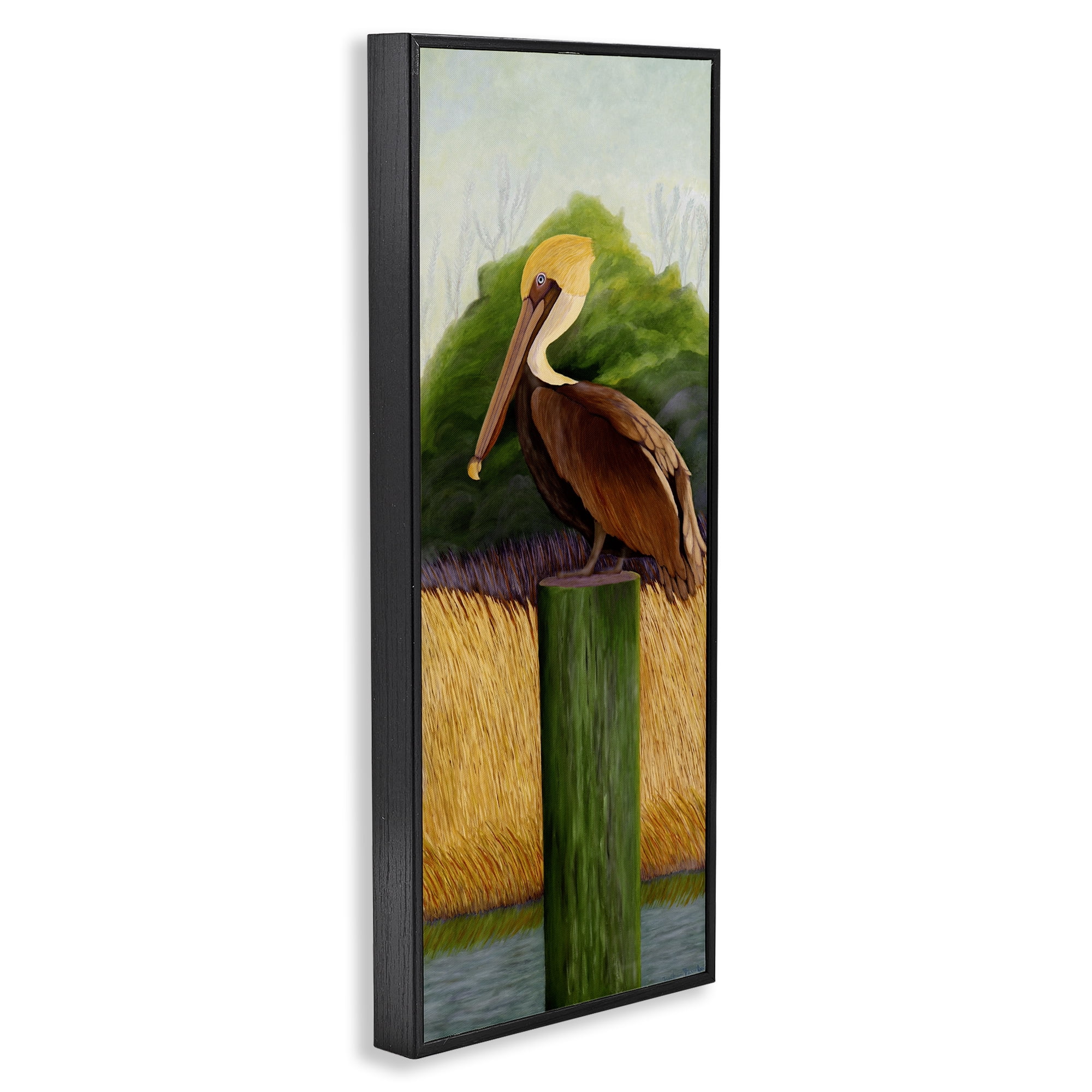 Stupell Industries Perched Blue Eyed Pelican Black Framed Giclee Art, design by Barbara Fallenbaum