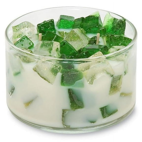 Holiday 9.5 oz. Two Wick Color Bowl Candle