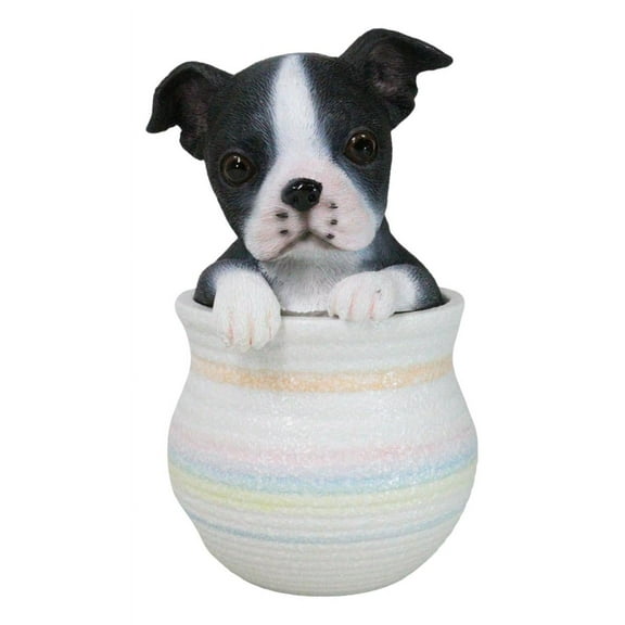 Black White Tuxedo Boston Terrier Puppy Dog Figurine With Glass Eyes Pup In Pot