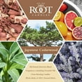 thumbnail image 2 of ROOT Candles Japanese Cedarwood 6.3 oz Small Veriglass Jar, 2 of 4