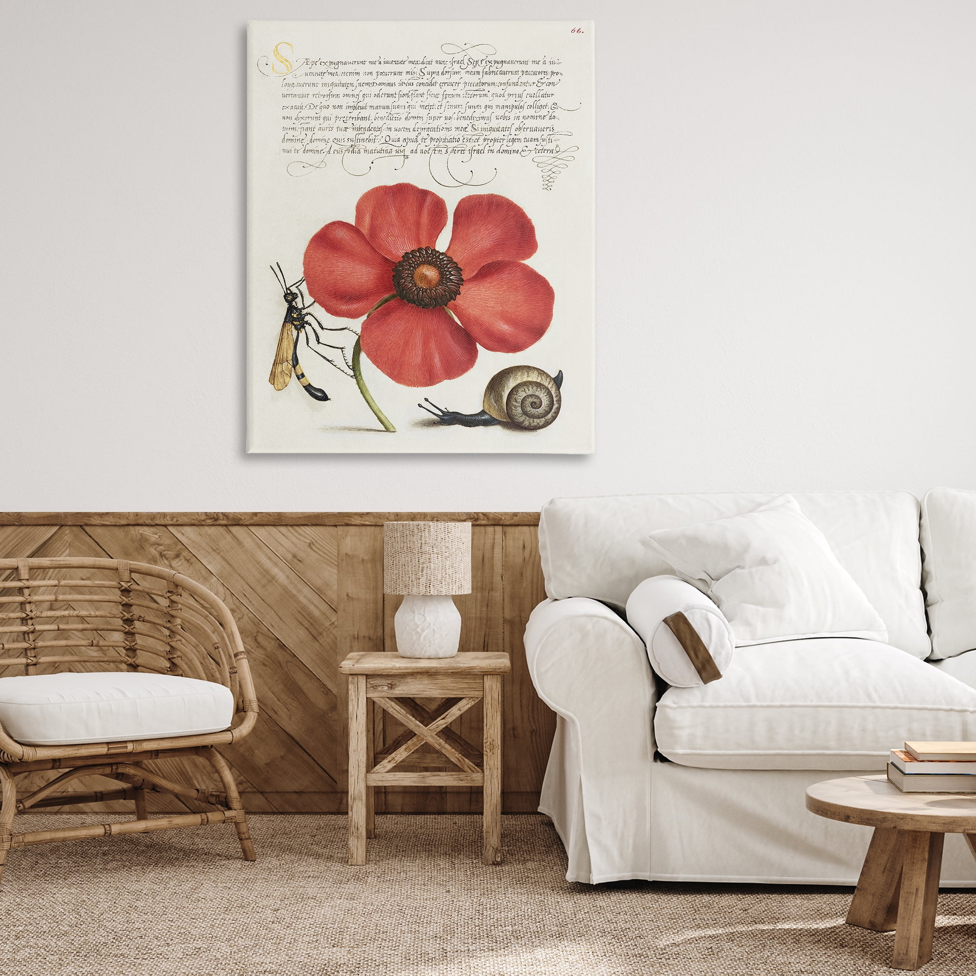Stupell Industries Vintage Insects on Flower Text & Numbers Painting Wrapped Canvas Art Print Wall Art, 36 x 48