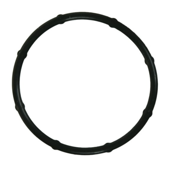 FEL-PRO 36004 Water Outlet Gasket