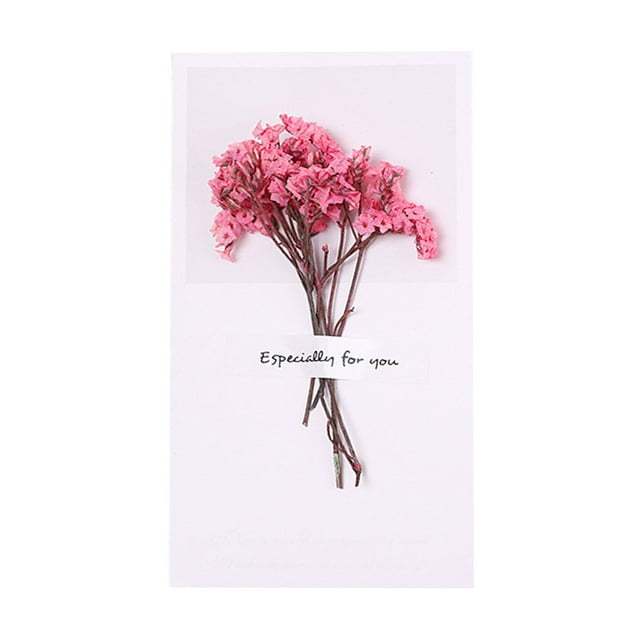 SIfdSeng Obtenez-le Rapidement Charme de Noël Carte de Vœux Fleur Séchée Design Festif Sentiments Naturels des Fêtes Idée