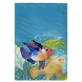 thumbnail image 1 of Betsy Drake GT300 Deux Poisson Serviette d'Invité - 20 x 20 Po., 1 of 1