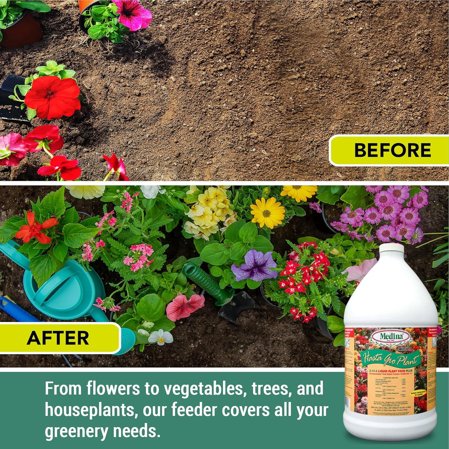Medina Hasta Gro Plant Food Plus Fertilizer 6-12-8, 1 gal.
