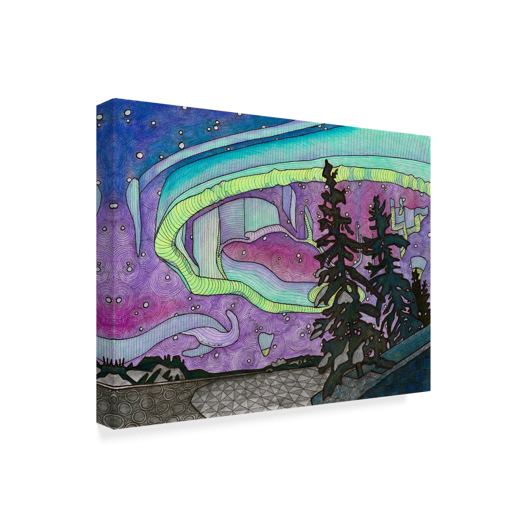 Trademark Fine Art 'The Northern Lights Background' Canvas Art by Amy Frank