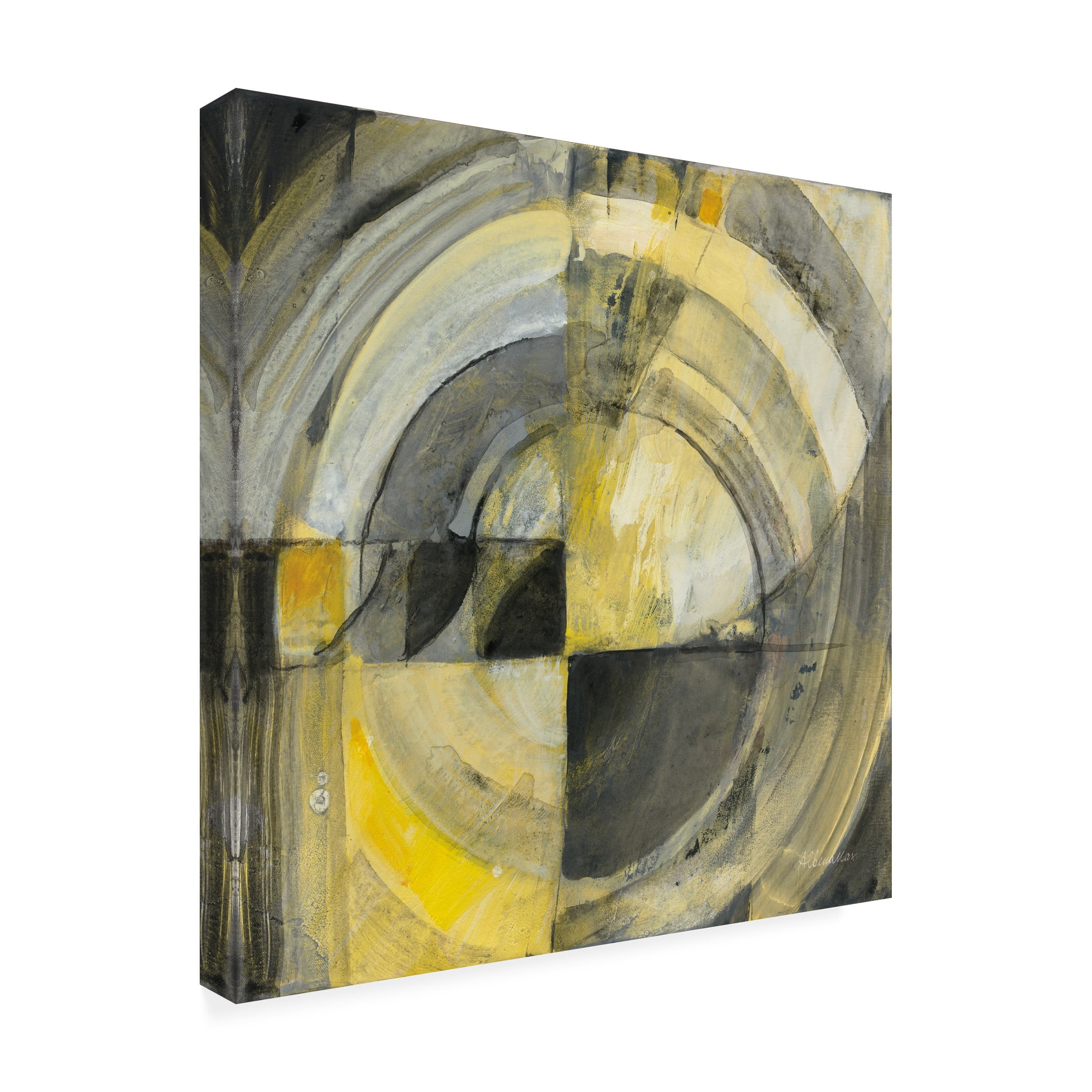 Albena Hristova 'Reflected I' Canvas Art