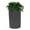 Slate, variant on Good Ideas IMP-D50-DAR Impressions Downton Rain Saver Rain Barrel, 50 Gallon, Dark Granite