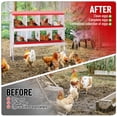 thumbnail image 5 of EuKer Nesting Boxes for Chickens, 8-Holes Metal Laying Boxes with Legs and Egg Collection Device, Red, 5 of 8