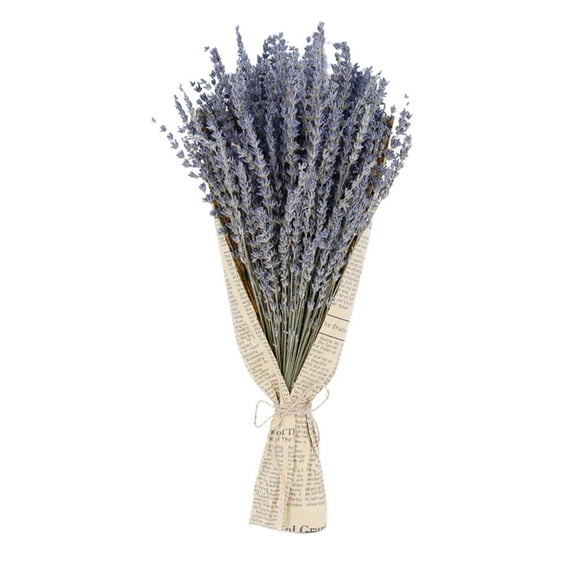 Dried Lavender Flower Bunches Dried Lavender Flowers for Home Bar DIY Crafts