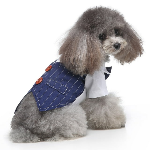 onlyliua Liquidación Ropa para Mascotas, Traje para Perros, Nuevo Producto, Ropa para Perros, Camisa con Doble Pajarita, Chaleco