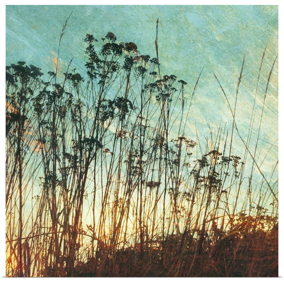 Great BIG Canvas | Rolled Amy Melious Poster Print entitled Wild Grass I