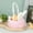 Pink, variant on Easter Basket,Ruffled Lace Tulle with Fluffy Bunny Ears, Easter Theme Party Favors Stuffers Gifts for Girls, Easter Egg Hunting Decorations Party Supplies（Blue）