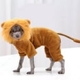 thumbnail image 1 of FUTUREORYY 56Pcs  Dog Clothes Kitten Costume for Pets in Lion Shape Design, 1 of 8