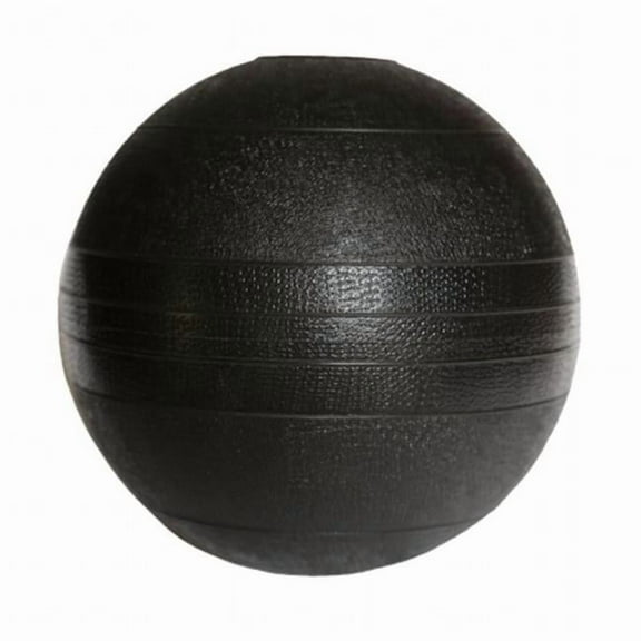 15 lbs. Dead Weight Slam Ball