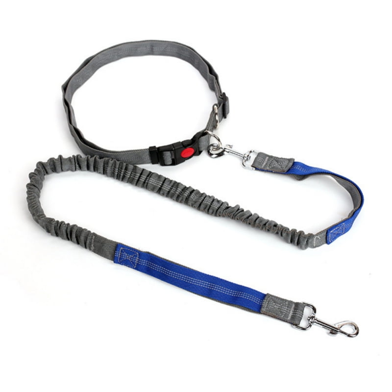 long leash walmart