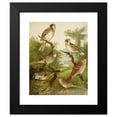 thumbnail image 2 of Christian Anton Goering 15x18 Black Modern Framed Museum Art Print Titled - The North American Vogelwelt Pl25 (1891), 2 of 5