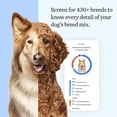 thumbnail image 3 of Wisdom Panel Essential Dog DNA Testing Kit, Most Accurate Test, 430+ Dog Breeds, 30 Genetic Health Conditions, 50+ Traits, Relatives, Ancestry, 1 Pack, 3 of 8