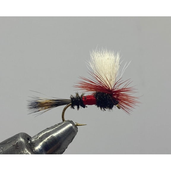 One Dozen (12) - Parachute Royal Wulff - Dry Fly