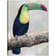thumbnail image 1 of Cuadro Decorativo - Aviario de la isla I Jr Impresión en canvas, estrechado., 1 of 2