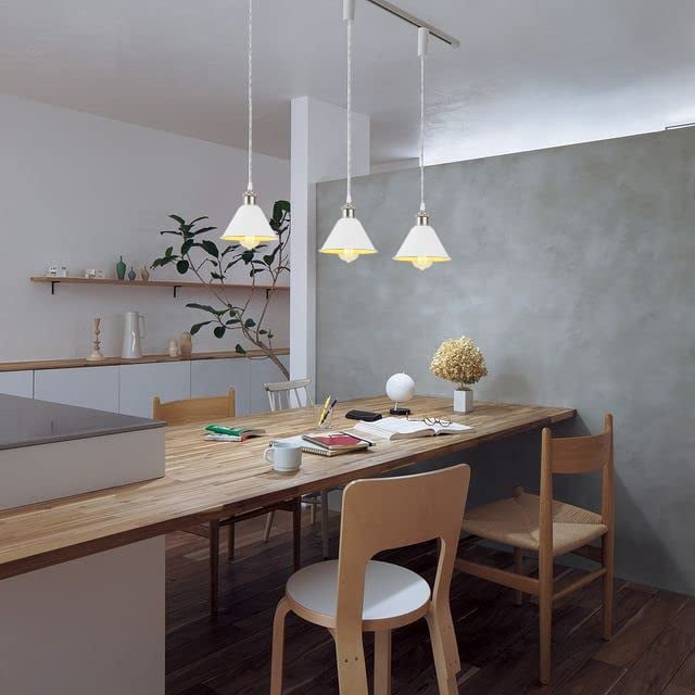 KAYYELAMP Plug in Cable Track Rail with Adjustable Cord White Track Lighting Fixture Matt Nickel E26 Base H-Type Vintage Design for Kitchen Loft(No Bulb)