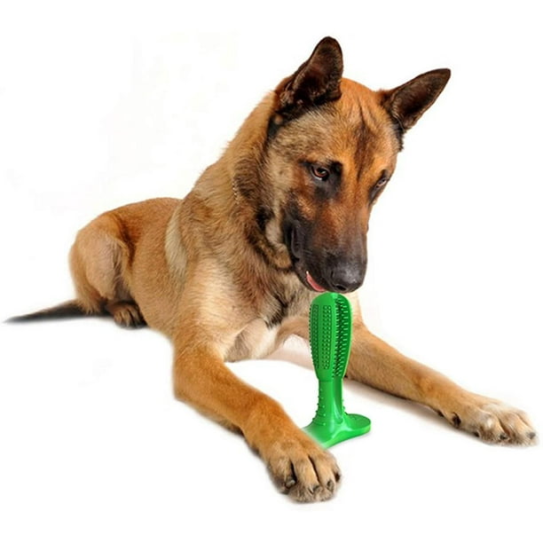 Kissable top dog toothbrush