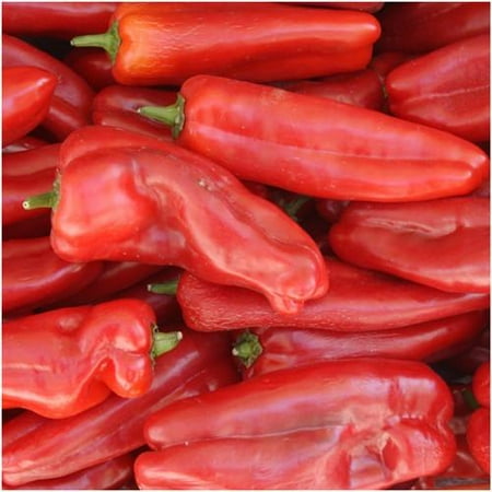 - Packet of 100 Seeds, Anaheim Chili Pepper Seeds (Capsicum annuum)