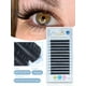 thumbnail image 1 of Yelix Profesionales Extensión de pestañas Extensión de pestañas de seda Pestañas individuales Volumen ruso suave Pestañas Faux Cils naturales Tan Jianjun unisex, 1 of 1