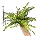 thumbnail image 3 of Plantas de helecho artificiales realistas para decoración del hogar - Ramo de hojas de helecho sintético verde para oficina, bodas y diseño de interiores, 3 of 8