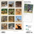 Monster Bucks 2026 12x24" (Hanging) Monthly Square Wall Calendar