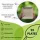 thumbnail image 2 of Platos cuadrados de hoja de palma Naturally Chic de 25 cm y 18 cm [paquete de 50], 2 of 8