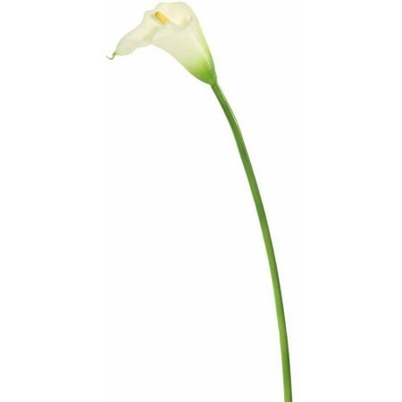 Classic White Lily - Vickerman 28