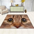 thumbnail image 2 of FREEAM Animal Area Rug 80"x58", Cat Glass Polyester Area Rug Mat for Living Dining Dorm Room Bedroom Home Decorative, 2 of 6