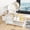 2-tier - White, variant on 2-Tier Dish Drying Rack for Kitchen Counter, 304 Stainless Steel with Adjustable Drainboard, Removable Utensil Holder & Water Filter Tray, Black