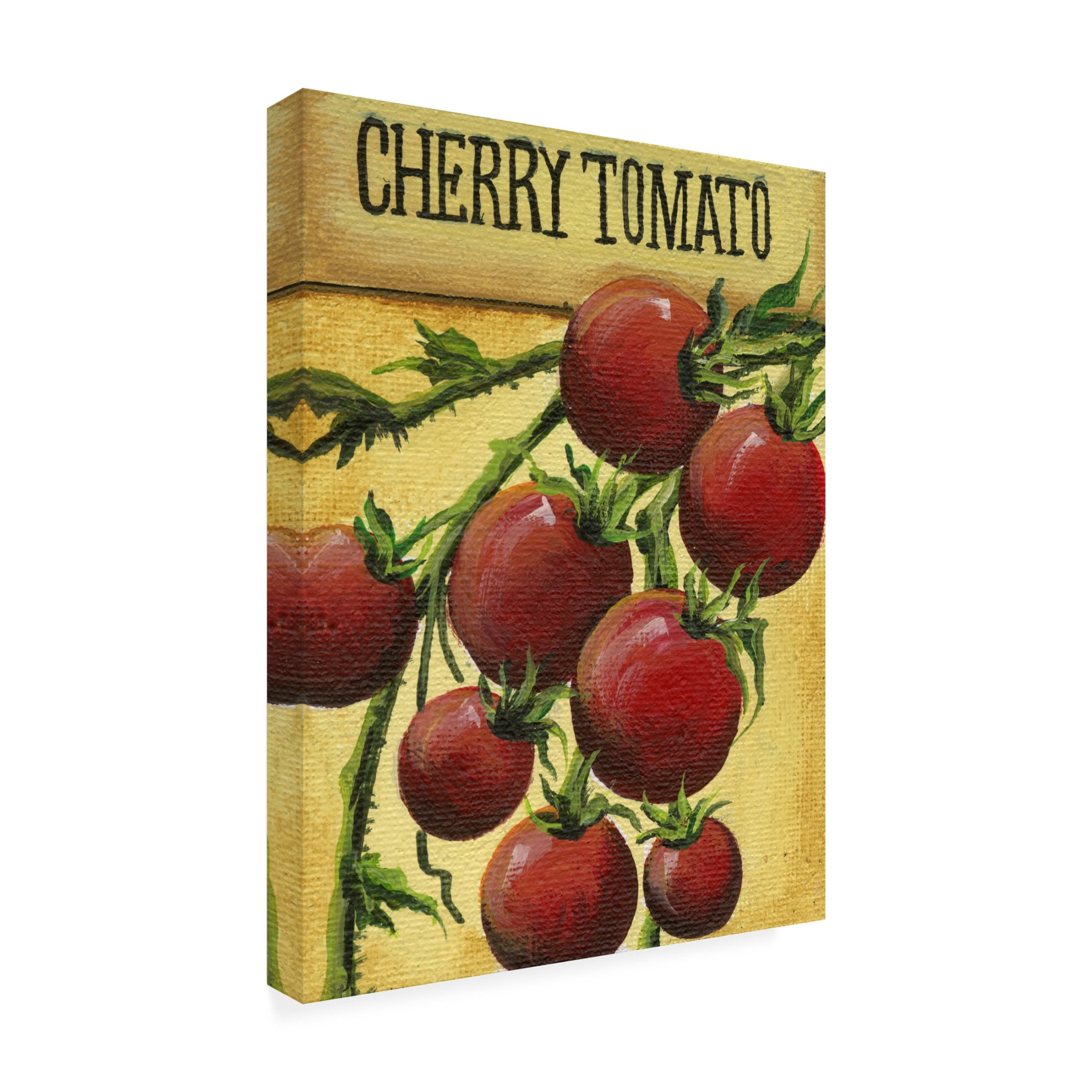Canvas Wall Art - Debbi Wetzel 'Seed Packets 06 - Cherry Tomato' Wall Art for Living Room, Bedroom, or Office Décor by Trademark Fine Art - 14 x 19 Inches