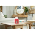 thumbnail image 5 of Yankee Candle Art in the Park Original Large Jar Scented Candle, 22 oz, 5 of 8
