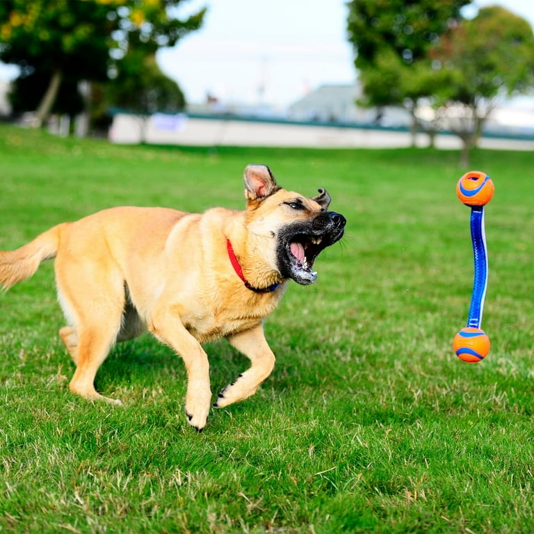 Small Chuckit Ultra Duo Tug Dog Toy