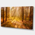 thumbnail image 2 of Bright Sunlight in Yellow Fall Forest - Modern Forest Canvas Art, 2 of 3