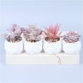 thumbnail image 7 of Succulent Artificial Plants,Faux Succulents in Pots,Small Fake Pink Plants for Office,Table,Desk,Bathroom,Bedroom,Aesthetic Room Shelves Decor,Cute Fake Succulents in 4 White Ceramic Pots, 7 of 7