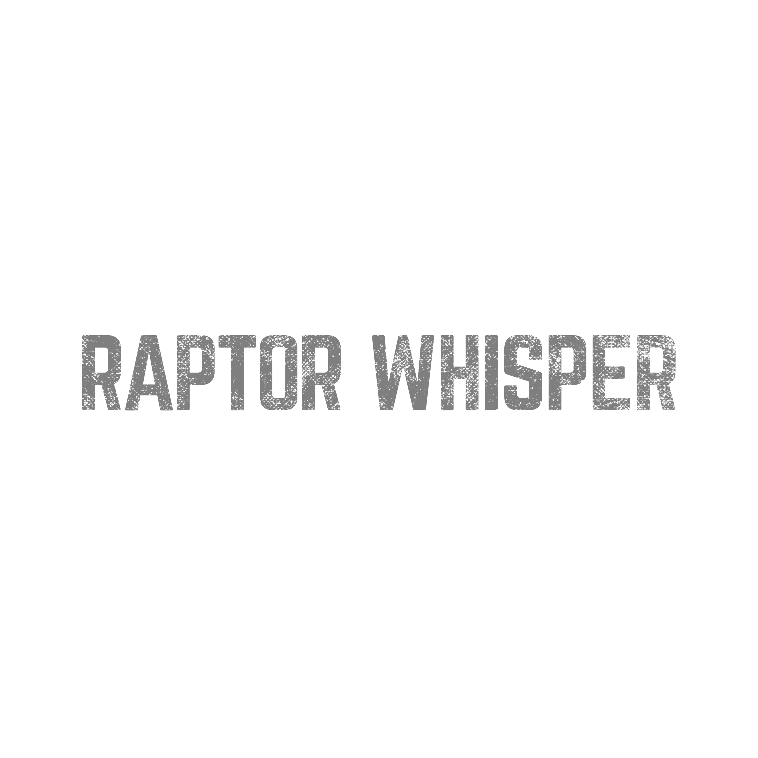 Gamo Raptor Whisper 0.22 Gas Piston Pellet Air Rifle