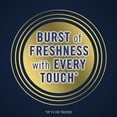 thumbnail image 2 of Febreze Touch Fabric Spray Air Freshener - Mountain - 27 fl oz, 2 of 3