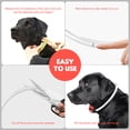 thumbnail image 3 of LED Dog Collar USB Rechargeable Glowing, Pet Collars Lighted Up Safety Necklace Glow in the Dark for You & Your Dogs (Red), 3 of 7
