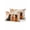 Flaxen, variant on Outdoor Pillows Waterproof, Fall Dog Bedding Throw Pillows with Insert for Couch Sofa Bed, Thanksgiving Autumn Harvest Pumpkin Leaf Orange 18x18 Inch Pillowcases Decorative Patio Pillow Set of 1