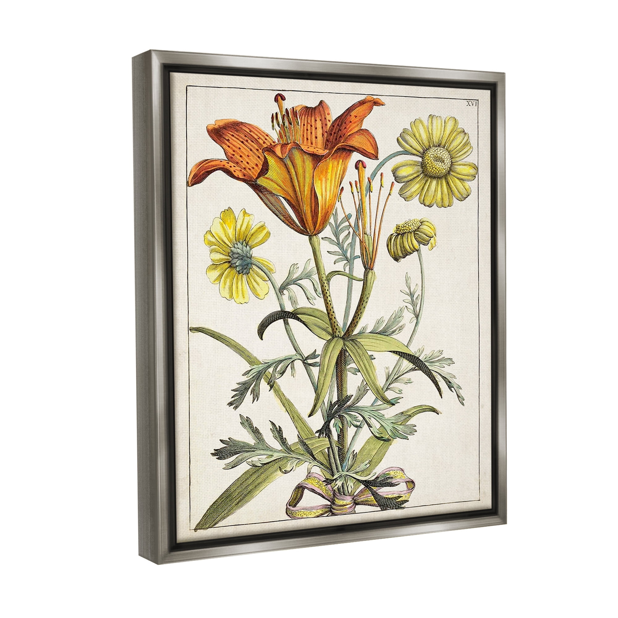 Stupell Industries Flowers Latin Study Botanical & Floral Painting Gray Floater Framed Canvas Art Print Wall Art, 17 x 21