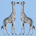 thumbnail image 3 of CafePress - Giraffes Kissing T Shirt - Men's Classic Graphic T-Shirt, 3 of 4