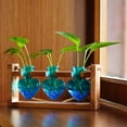 thumbnail image 7 of Plant Terrarium for Office Decor - Wooden Stand Tabletop Planter 3 Bulb Glass Vase Heart Shaped for Hydroponics Indoor Home, 7 of 7