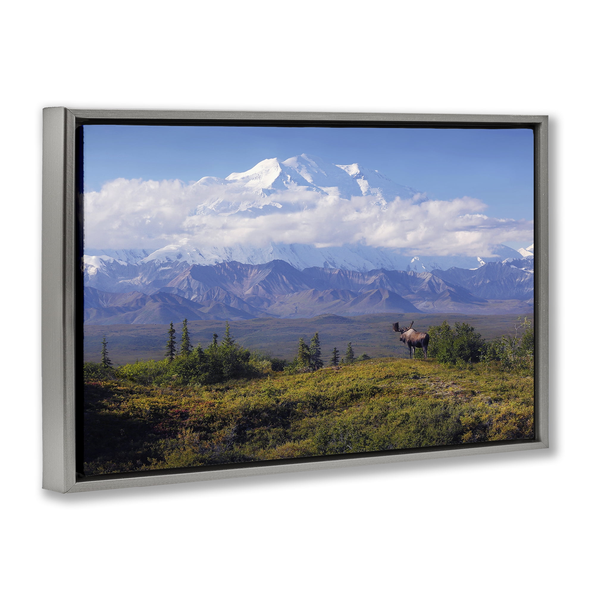 Stupell Industries Mountain Majesty Moose Landscape & Nature Photography Gray Floater Framed Canvas Art Print Wall Art, 25 x 17